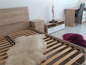 Prodej bytu 1+1, Ústí nad Labem - Mojžíř, Peškova, 36 m2