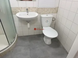 Pronájem bytu 1+kk, Teplice - Trnovany, Antonína Sochora, 20 m2
