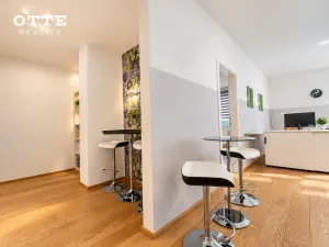 Prodej bytu 2+kk, Plzeň, Šafaříkovy sady, 60 m2