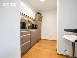 Prodej bytu 2+kk, Plzeň, Šafaříkovy sady, 60 m2