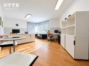 Prodej bytu 2+kk, Plzeň, Šafaříkovy sady, 60 m2