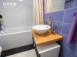 Prodej bytu 2+kk, Plzeň, Šafaříkovy sady, 60 m2