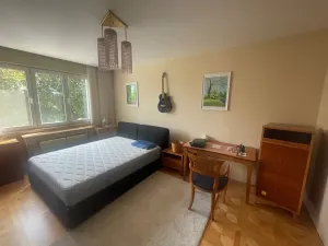 Pronájem bytu 1+1, Praha - Břevnov, Nad alejí, 56 m2