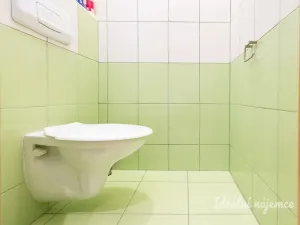 Pronájem bytu 1+kk, Praha - Holešovice, Přístavní, 20 m2