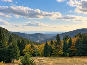 Prodej bytu 1+kk, Loučná nad Desnou - Kouty nad Desnou, 39 m2