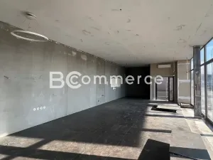 Pronájem obchodního prostoru, Brno, 473 m2