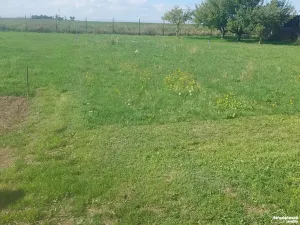 Prodej rodinného domu, Vyšehořovice, 60 m2