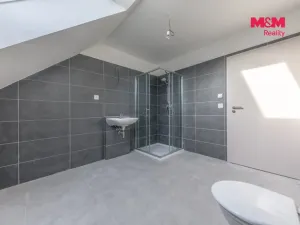 Pronájem bytu 4+kk, Starý Vestec, 102 m2