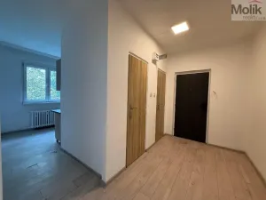 Pronájem bytu 2+1, Bílina - Teplické Předměstí, Sídliště U Nového nádraží, 55 m2