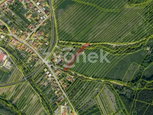 Prodej pozemku pro bydlení, Pitín, 2007 m2