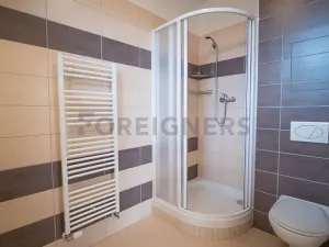 Pronájem bytu 1+kk, Brno, Jemelkova, 36 m2