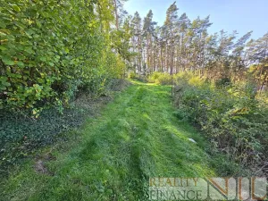 Prodej chaty, Pňovany, 54 m2