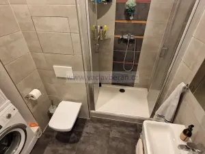 Pronájem bytu 1+1, Česká Třebová, Habrmanova, 38 m2