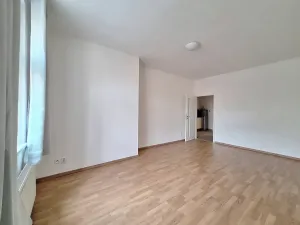 Pronájem bytu 2+1, Praha - Bubeneč, U zeměpisného ústavu, 49 m2