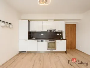 Pronájem bytu 2+kk, Plzeň - Bolevec, U Velkého rybníka, 59 m2