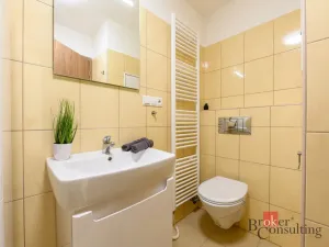 Pronájem bytu 2+kk, Plzeň - Bolevec, U Velkého rybníka, 59 m2