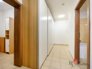 Pronájem bytu 2+kk, Plzeň - Bolevec, U Velkého rybníka, 59 m2