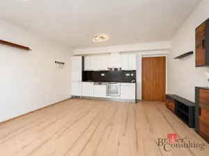 Pronájem bytu 2+kk, Plzeň - Bolevec, U Velkého rybníka, 59 m2