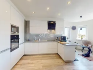 Prodej rodinného domu, Chomutov, Čelakovského, 300 m2