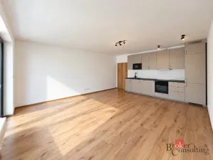 Pronájem bytu 2+kk, Plzeň - Jižní Předměstí, Železná, 56 m2