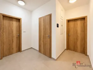 Pronájem bytu 2+kk, Plzeň - Jižní Předměstí, Železná, 56 m2