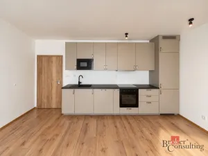 Pronájem bytu 2+kk, Plzeň - Jižní Předměstí, Železná, 56 m2
