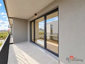 Pronájem bytu 2+kk, Plzeň - Jižní Předměstí, Železná, 56 m2