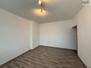 Pronájem bytu 2+kk, Litvínov - Horní Litvínov, Vinohradská, 55 m2