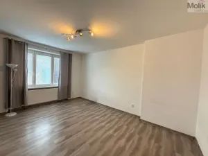 Pronájem bytu 2+kk, Litvínov - Horní Litvínov, Vinohradská, 55 m2