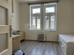 Pronájem bytu 1+kk, Praha - Braník, Na vinohradu, 22 m2