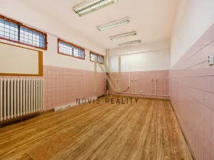 Pronájem skladu, Plzeň, Domažlická, 43 m2