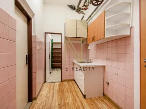 Pronájem skladu, Plzeň, Domažlická, 43 m2