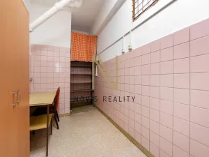Pronájem skladu, Plzeň, Domažlická, 43 m2