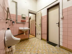 Pronájem skladu, Plzeň, Domažlická, 43 m2