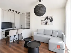 Pronájem bytu 2+kk, Plzeň - Východní Předměstí, Zahradní, 43 m2