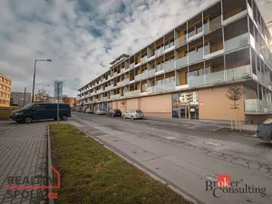 Pronájem bytu 2+kk, Plzeň - Východní Předměstí, Zahradní, 43 m2