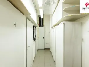 Prodej komerční nemovitosti, Praha - Michle, Jihlavská, 330 m2