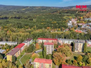 Prodej bytu 3+1, Mariánské Lázně - Úšovice, Mánesova, 63 m2