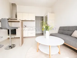Pronájem bytu 2+kk, České Budějovice - České Budějovice 2, U Boru, 40 m2