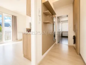 Pronájem bytu 2+kk, České Budějovice - České Budějovice 2, U Boru, 40 m2