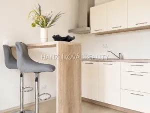 Pronájem bytu 2+kk, České Budějovice - České Budějovice 2, U Boru, 40 m2