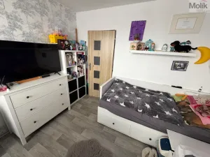 Prodej bytu 3+1, Most, Jiřího Wolkera, 69 m2
