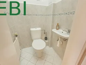 Prodej bytu 3+1, Praha, Římská, 121 m2