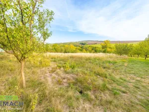 Prodej pozemku pro bydlení, Ostrožská Lhota, 490 m2