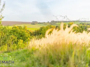 Prodej pozemku pro bydlení, Ostrožská Lhota, 490 m2