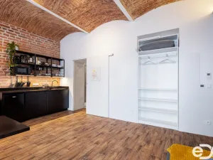 Pronájem bytu 1+kk, Praha - Žižkov, Dalimilova, 32 m2