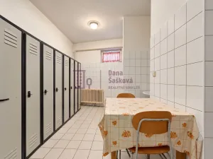Pronájem obchodního prostoru, Studená, nám. Sv. J. Nepomuckého, 520 m2