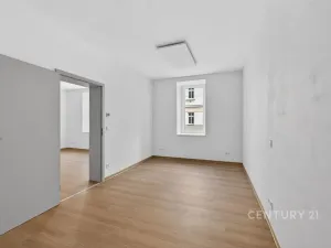 Pronájem bytu 2+kk, Plzeň, okres plzeň-město, Radyňská, 54 m2