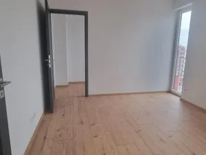 Pronájem bytu 2+kk, Zelené Předměstí, Pod Vinicí, 68 m2