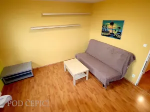 Pronájem bytu 2+1, Brno - Staré Brno, Křídlovická, 51 m2